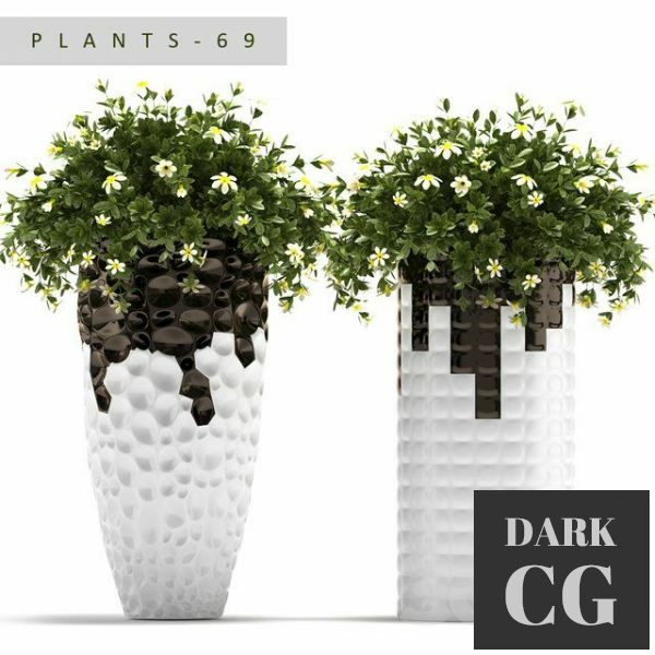 3D Model PLANTS 69