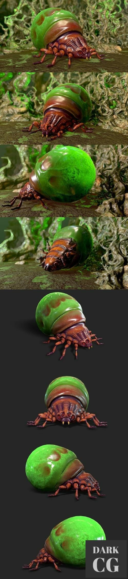 Unreal Engine Insect Poison Beatle