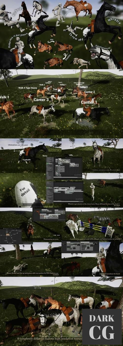 Unreal Engine Horse Riding and Taming Kit