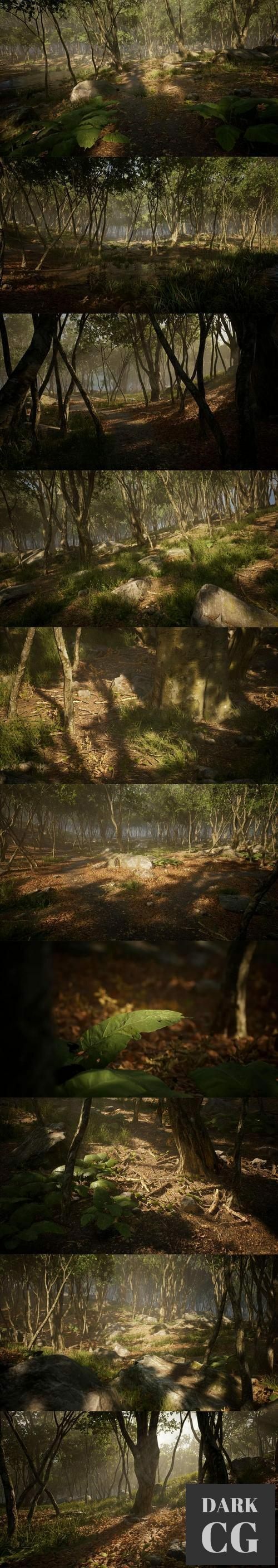 Unreal Engine Leaf Tree Forest Biome