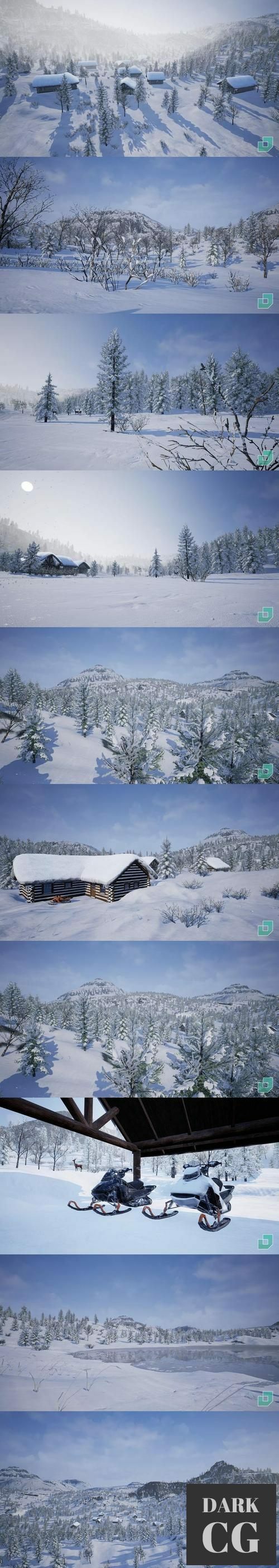 Unreal Engine Low Poly Snow Forest