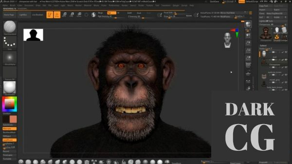 Create a Realistic Chimpanzee in Zbrush