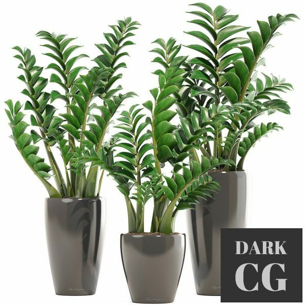 3D Model Plants 190