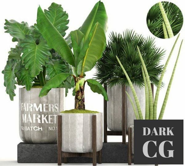 3D Model Plants 230