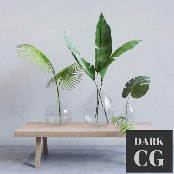 3D Model Palm plants
