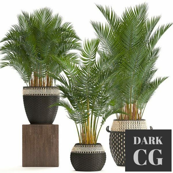 3D Model Plants set 0566