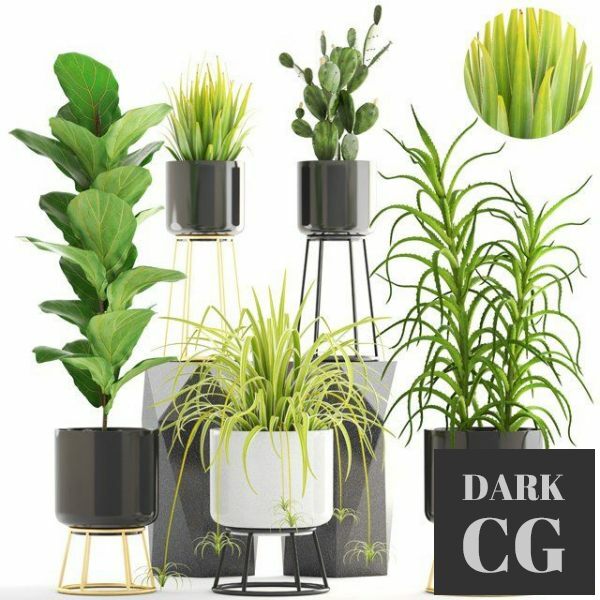 3D Model Plants set West Elm