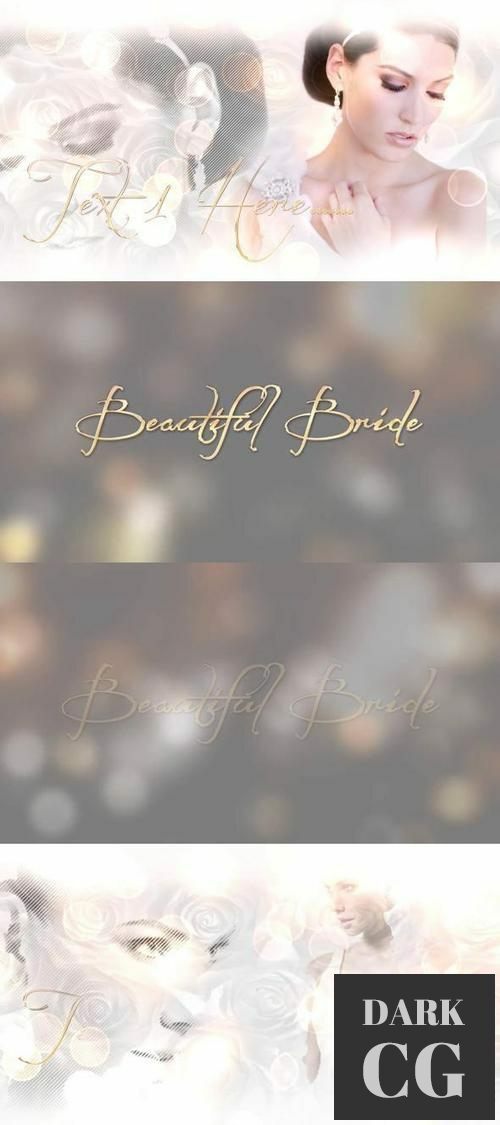 Beautiful Bride 5482350