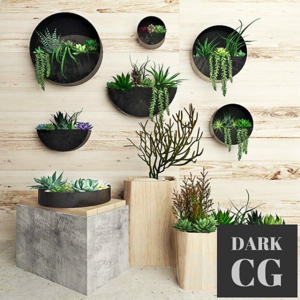 3D Model Plant on the wall