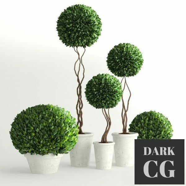 3D Model Plants collection 585