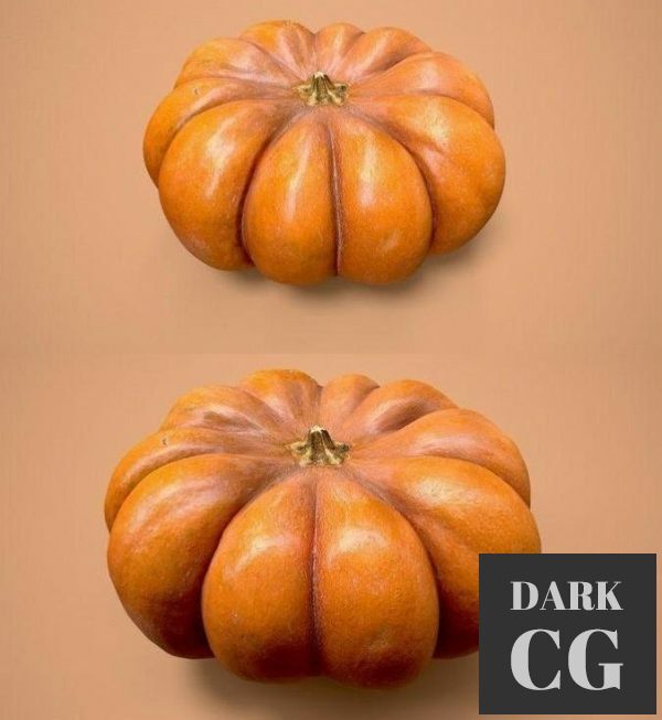 3D Model Pumpkin photoscan
