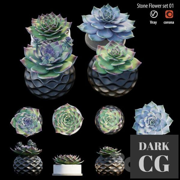 3D Model Stone flower set 01