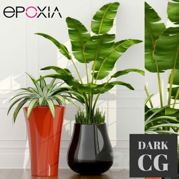 3D Model Epoxia planters
