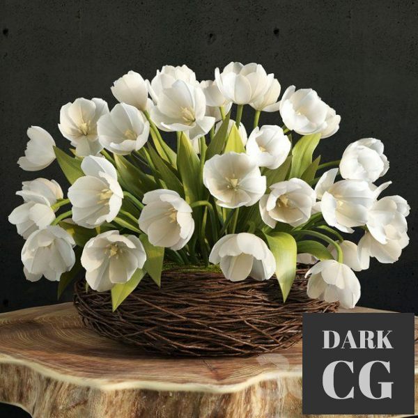3D Model spring tulips in the nest
