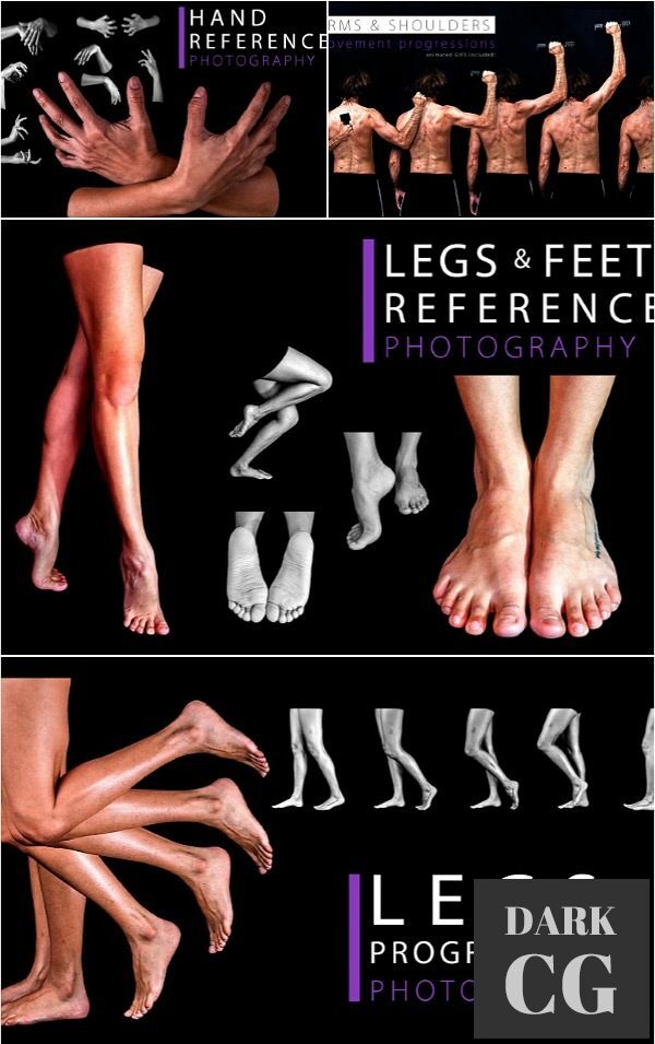 Essenstials and Progressions Reference Images Hand Feet Legs and Arms