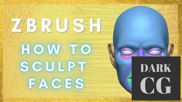 Zbrush How to Sculpt Faces