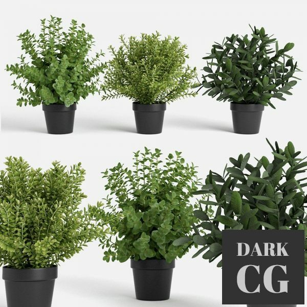 3D Model Plants set 100
