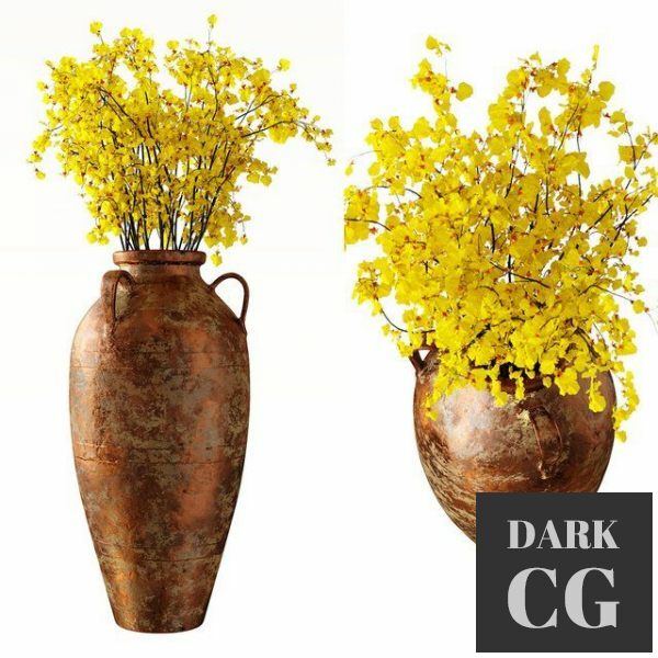 3D Model Hydria Oncidium