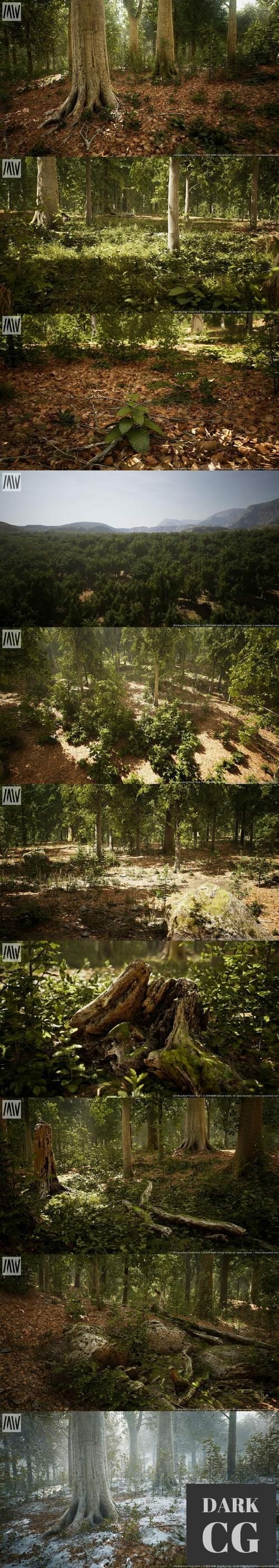 Unreal Engine MW Broadleaf Trees Forest Biome
