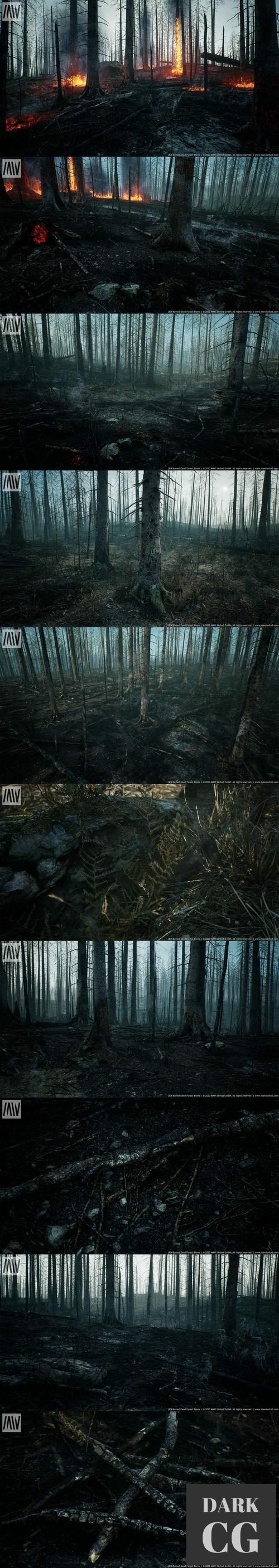 Unreal Engine MW Burned Dead Trees Forest Biome