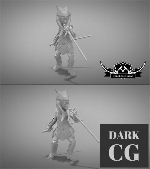 Apprentice of the chosen one – 3D Print