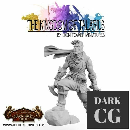 Kingdom of Talarius - Kotaro, Assassin – 3D Print
