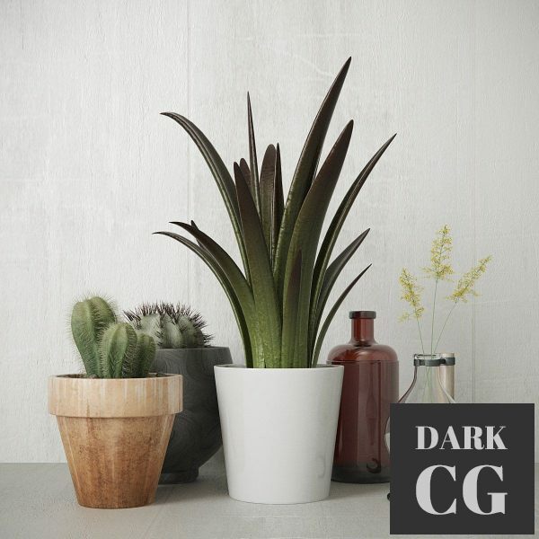 3D Model Greens set 2