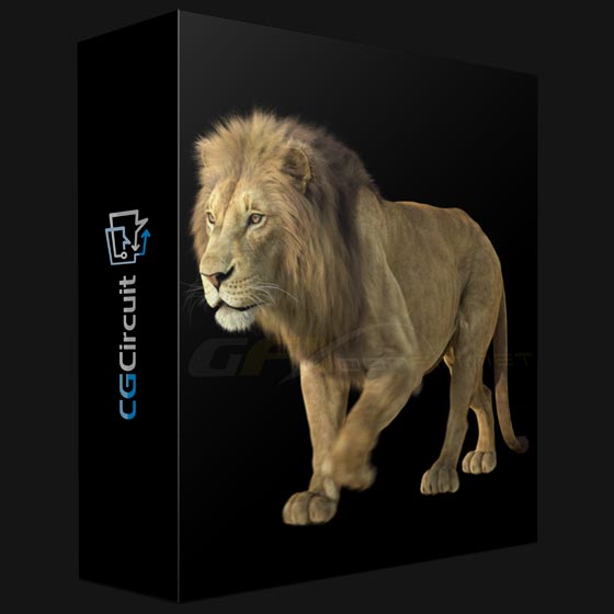 CGCircuit Grooming Lion Fur in Houdini