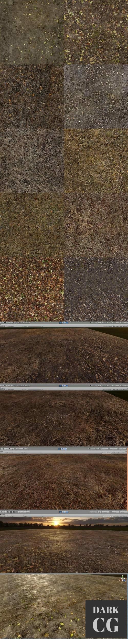 Unity Asset Store Dry Grass and Mud Photo Texture