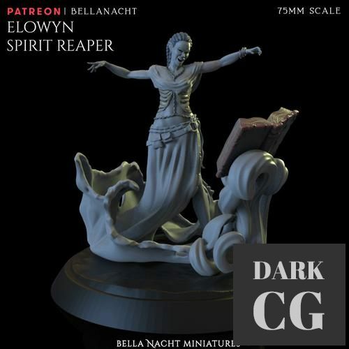 ﻿Elowyn – 3D Print