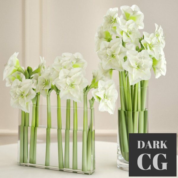 3D Model Bouquet of flowers 06