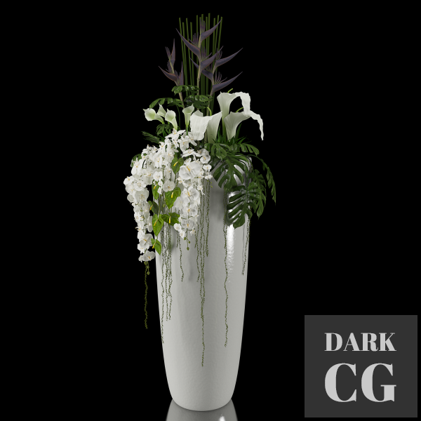 3D Model EXOTIC arrangement