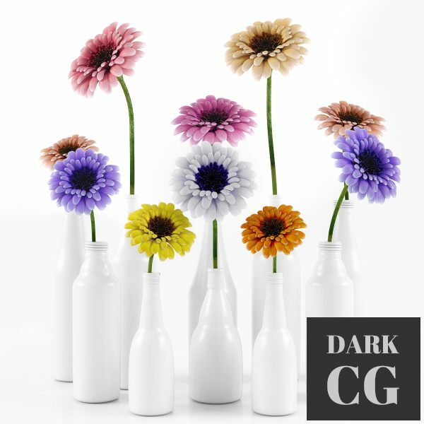 3D Model GERBERA FLOWER WITH WHITE PLASTIC POTS