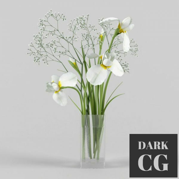 3D Model Irises and gypsophila in a vase