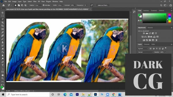 Adobe Photoshop Tutorials All Batches Classes for Beginners