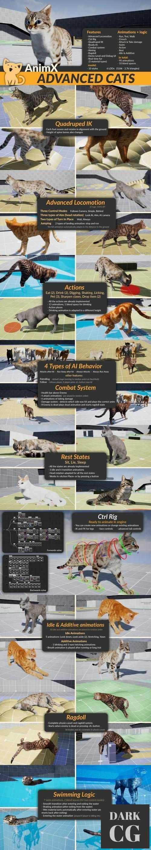Unreal Engine AnimX Advanced Cats