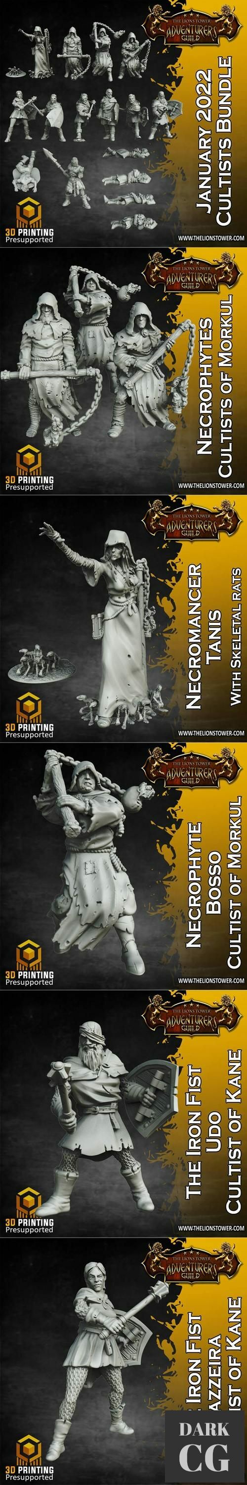 The Lion Tower Adventurers Guild January 2022 – 3D Print