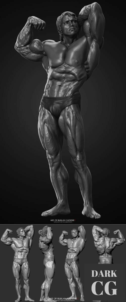 Arnold – 3D Print