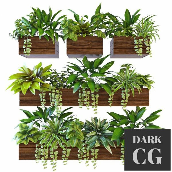 3D Model Plants on the wall 2
