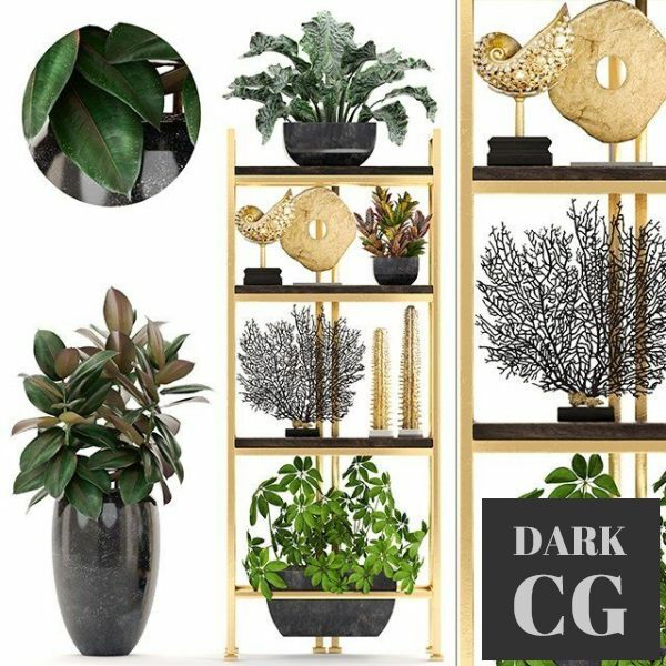 3D Model Decorative set 4