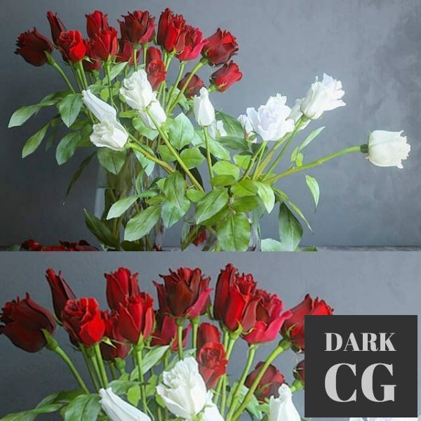 3D Model Red and white roses