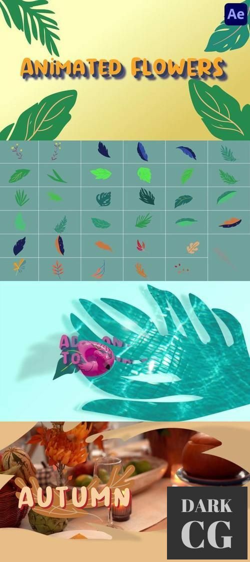 Animated Flowers for After Effects 36682266