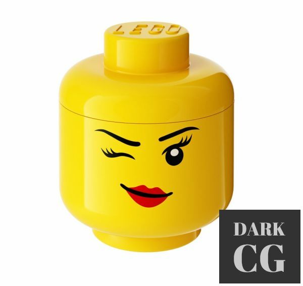 3D Model Winking Small Storage Head by Lego