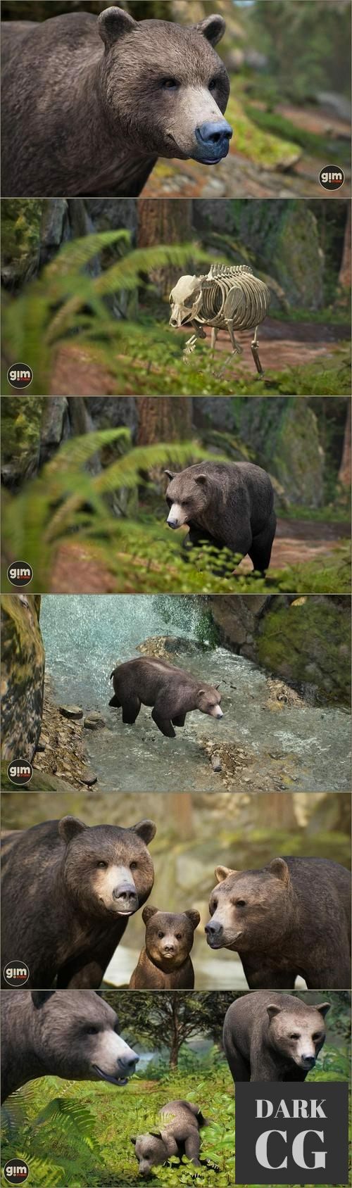 Unreal Engine Animalia Brown Bear male