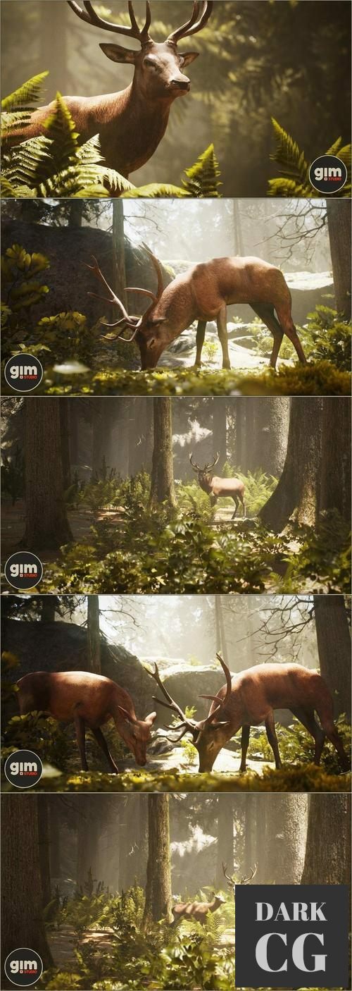Unreal Engine Animalia Red Deer male