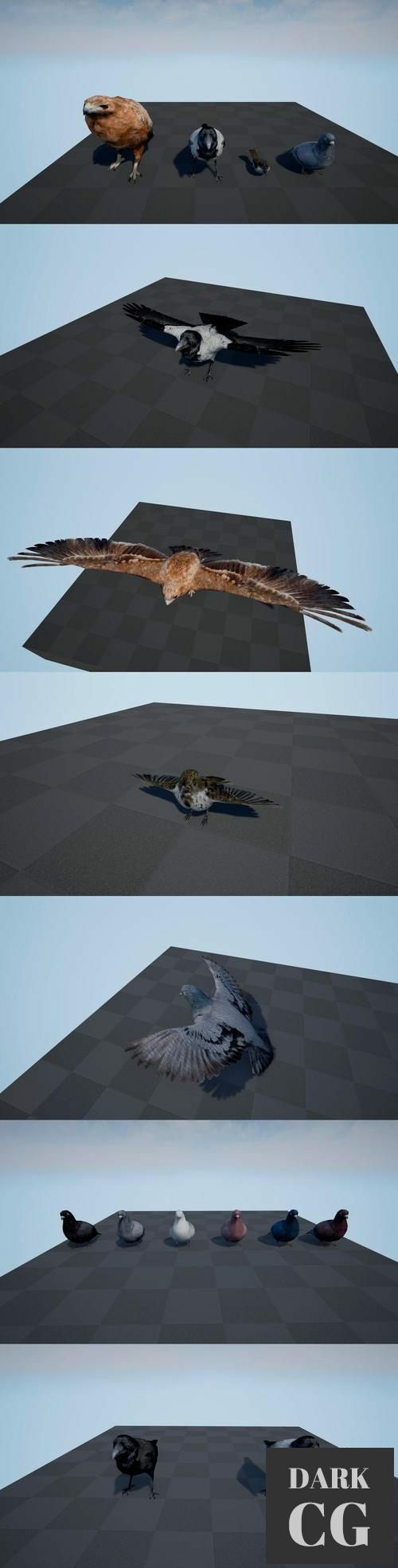 Unreal Engine Bird Band