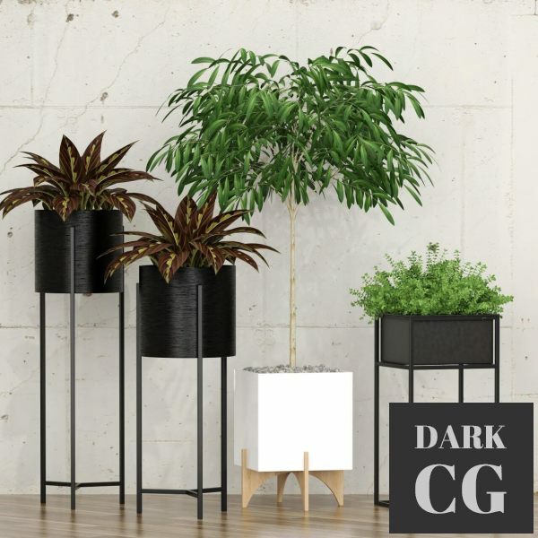 3D Model Potted plants 10