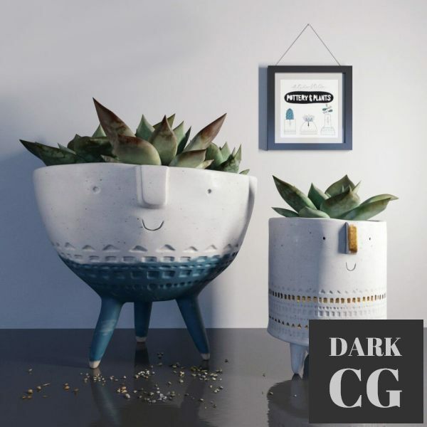 3D Model Pottern and plants 1