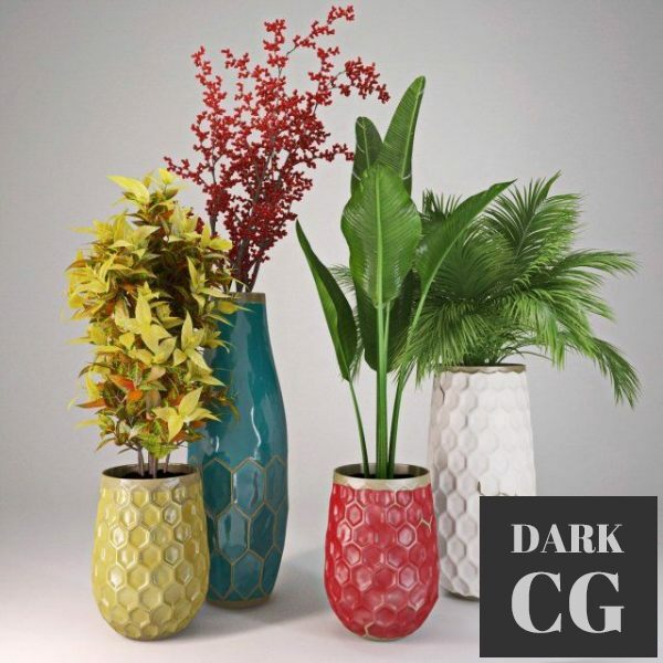 3D Model Plants collection II