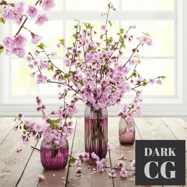 3D Model Blooming cherry